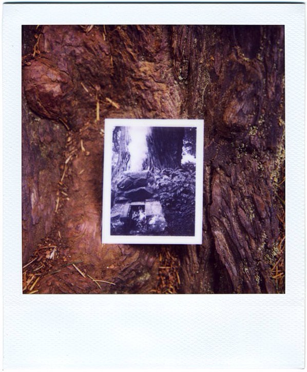 Polaroid of a Polaroid.  California, 2008.